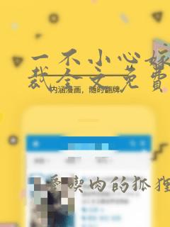 一不小心嫁了总裁全文免费