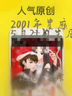 2001年农历5月21日生辰八字