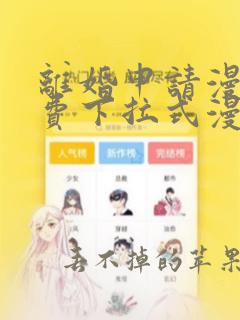 离婚申请漫画免费下拉式漫画星球