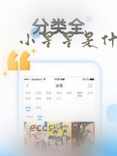 小星星是什么歌