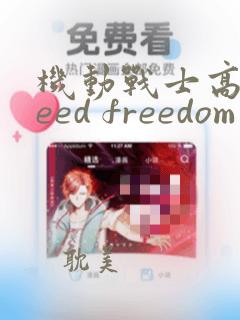 机动战士高达seed freedom网盘