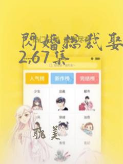 闪婚总裁娶1送2,67集