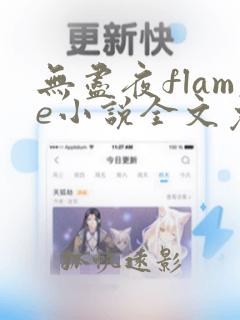 无尽夜flame小说全文免费阅读