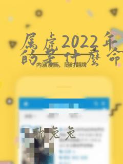 属虎2022年的是什么命