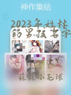 2023年姓林的男孩名字