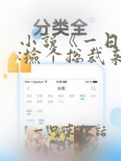 小说《一日闪婚:捡个总裁来恋爱》