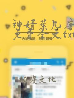 神婿叶凡唐若雪免费全文txt