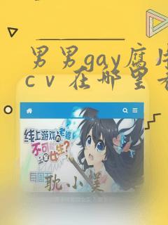 男男gay腐片cⅴ在哪里看