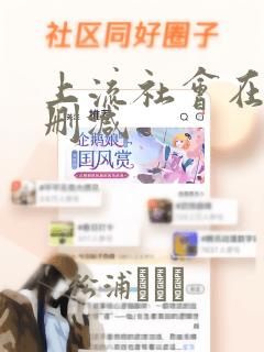 上流社会在线未删减