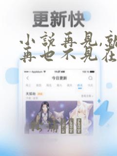 小说再见,就是再也不见在线阅读