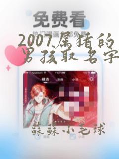 2007属猪的男孩取名字大全