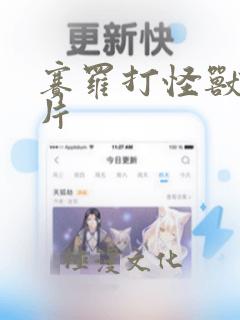 赛罗打怪兽动画片