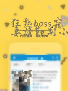 狂热boss宠妻请节制小说免费