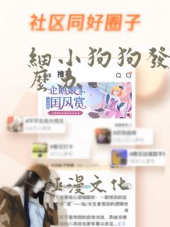 细小狗狗发烧怎么办