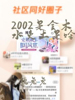 2002是金木水火土是啥命