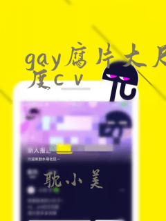 gay腐片大尺度cⅴ