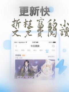 折枝写的小说全文免费阅读