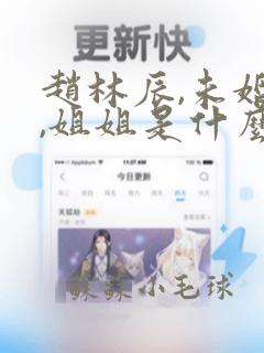 赵林辰,未婚妻,姐姐是什么小说