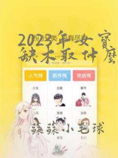 2023年女宝缺木取什么名字