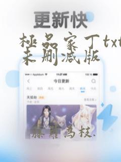 极品家丁txt未删减版