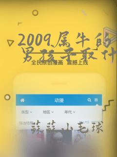 2009属牛的男孩子取什么名字好