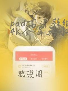 pad高清壁纸4k全屏无水印