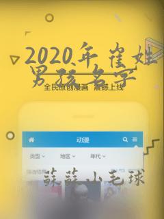 2020年崔姓男孩名字