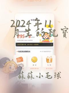 2024年11月生的龙宝宝起名