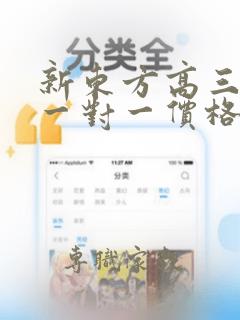 新东方高三数学一对一价格