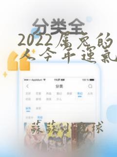 2022属兔的人今年运气怎么样