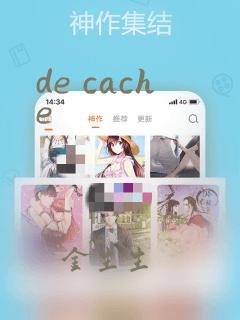 de cache