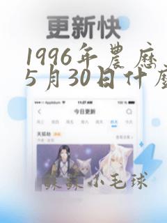 1996年农历5月30日什么命