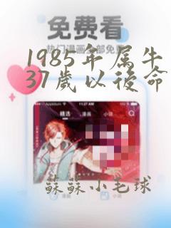 1985年属牛37岁以后命运