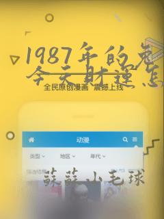 1987年的兔今天财运怎么样