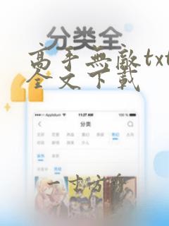 高手无敌txt全文下载