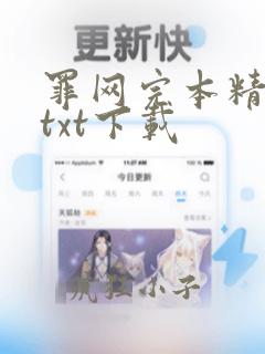 罪网完本精校版txt下载