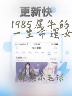 1985属牛的一生命运女