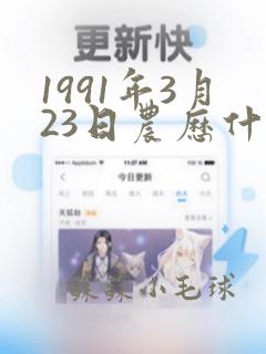 1991年3月23日农历什么命