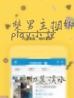 双男主捆绑调教play小说