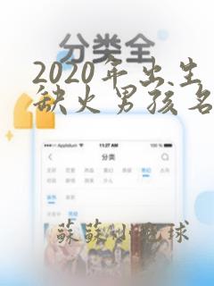 2020年出生缺火男孩名字