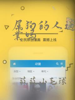 属狗的人适合创业吗