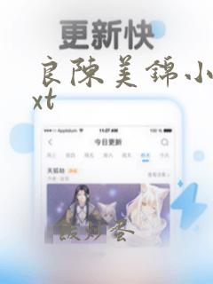 良陈美锦小说txt