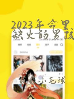 2023年命里缺火的男孩名字