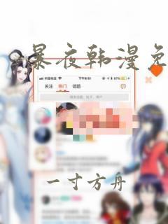 暴夜韩漫免费看