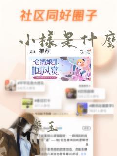 小样是什么意思