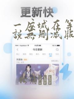 一座城在等你小说无删减版