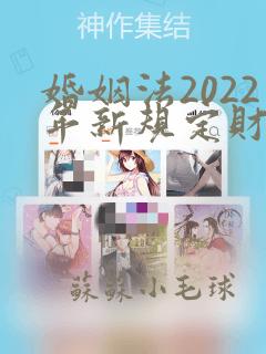 婚姻法2022年新规定财产分割