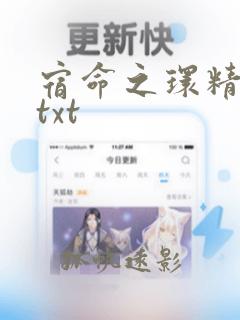 宿命之环精校版txt