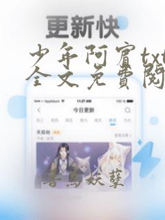 少年阿宾txt全文免费阅读小说