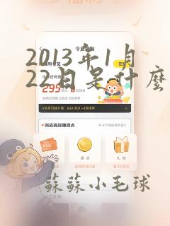 2013年1月22日是什么星座